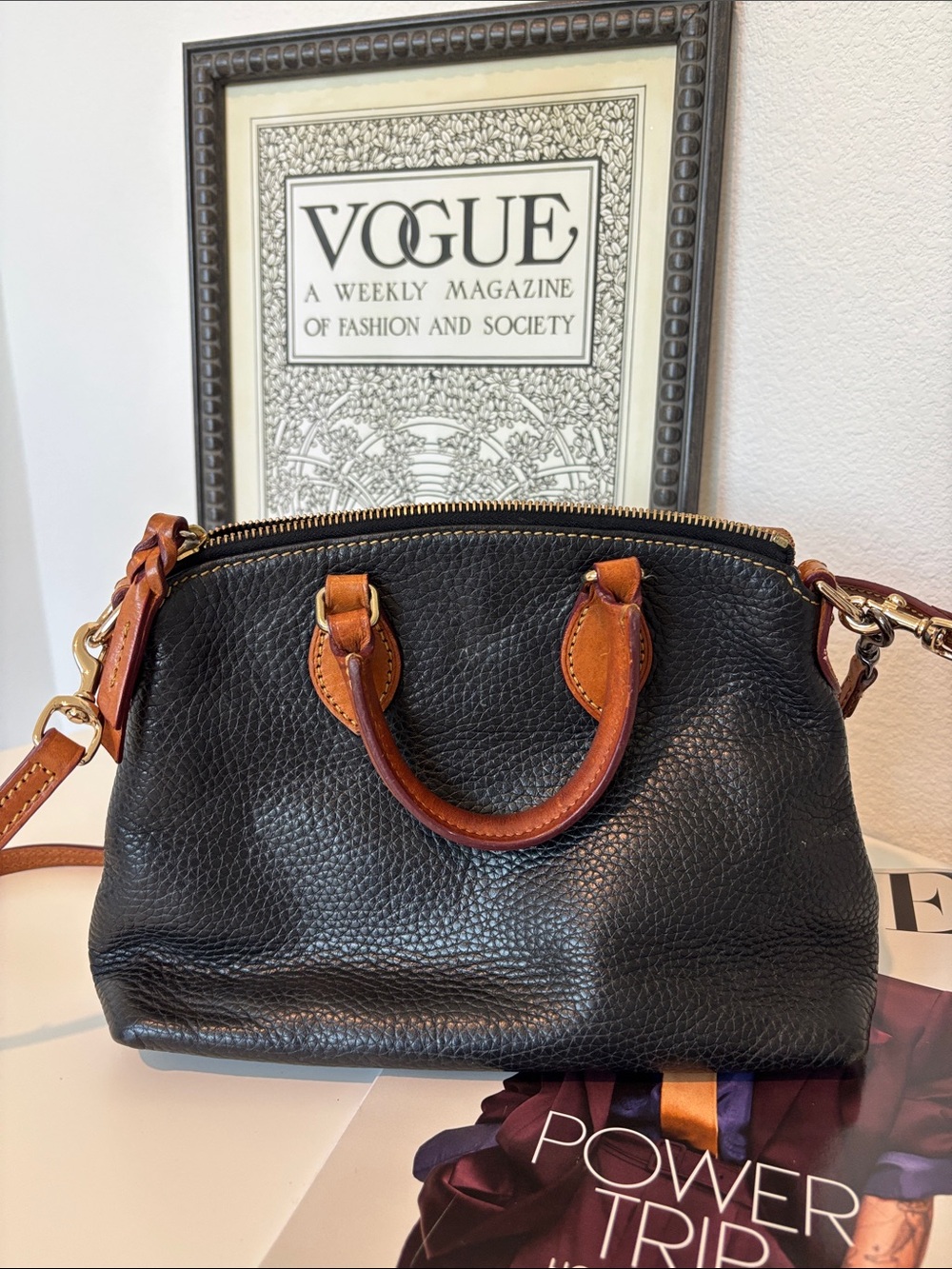 Dooney & Bourke Black Leather Satchel with Brown Trim - Picture 4 of 5